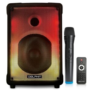 Portable Bluetooth Karaoke Speaker – 8"
