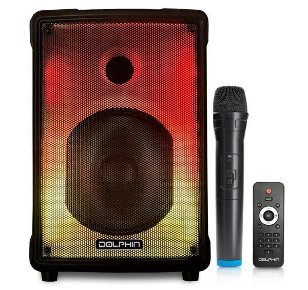 Portable Bluetooth Karaoke Speaker – 8"